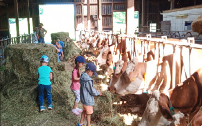Besuch auf dem Bauernhof