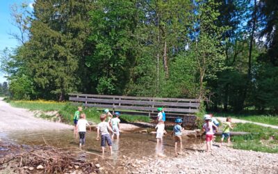 Schöne Sommerferien!